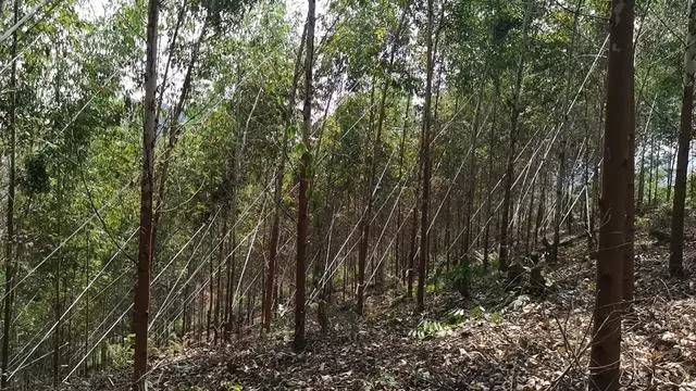 走一段弯路也无妨事例_高考15年 唐尚珺:确实走了弯路_走一段弯路也无妨名言